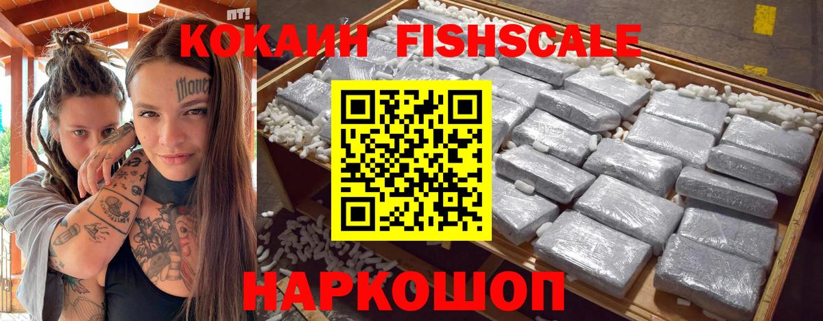Гусиноозёрск  Кокаин Fish Scale  Вход с VPN 