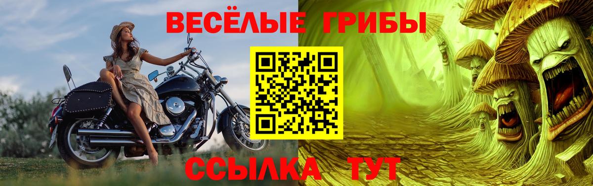 Галлюциногенные грибы MAGIC MUSHROOMS Гусиноозёрск